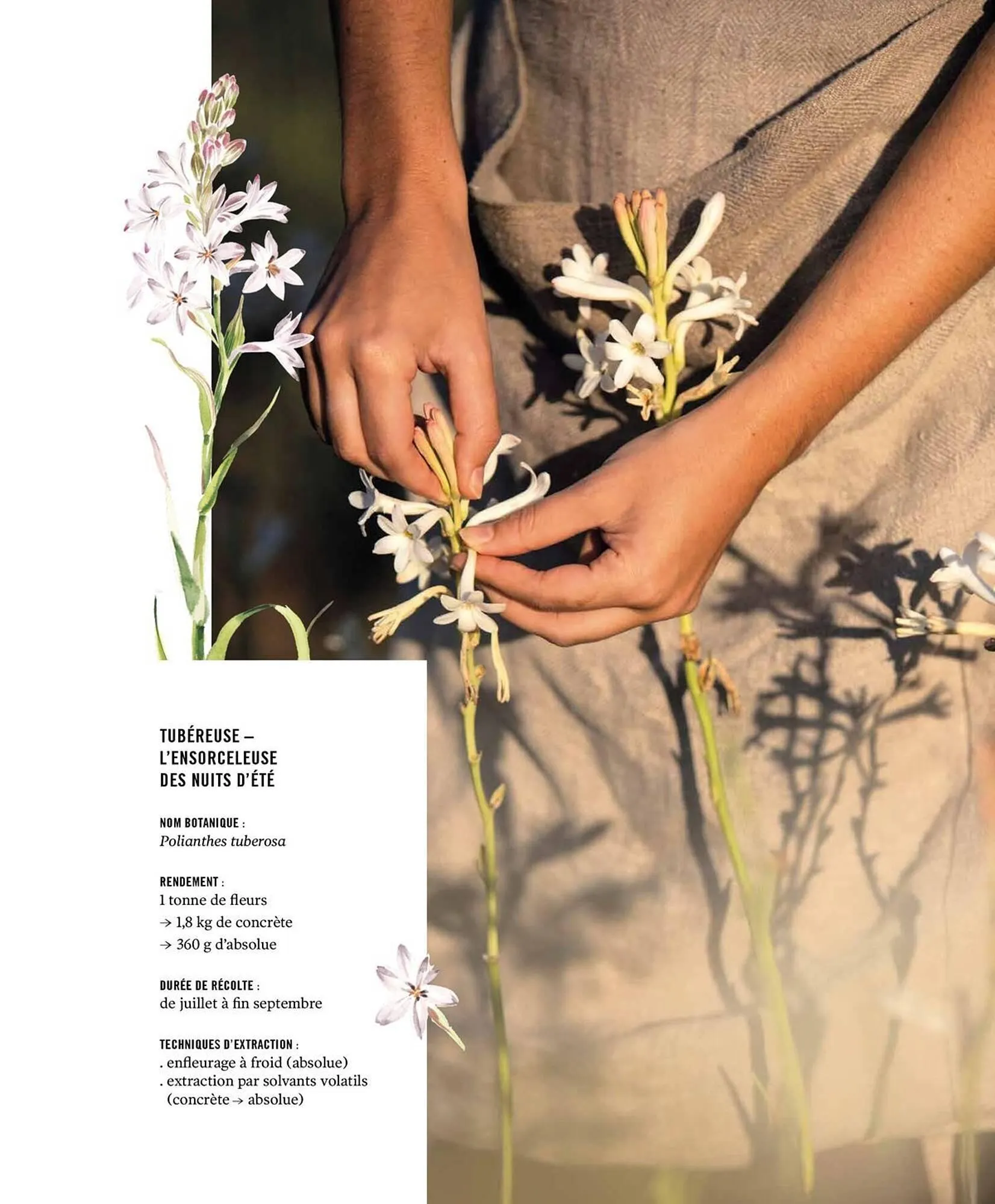 Catalogue Fragonard du 9 mars au 20 septembre 2026 - Catalogue page 15