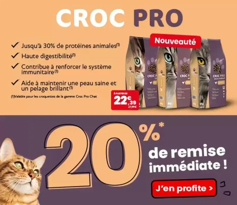 Des offres à prix givrés ! du 5 février au 28 février 2025 - Catalogue page 2
