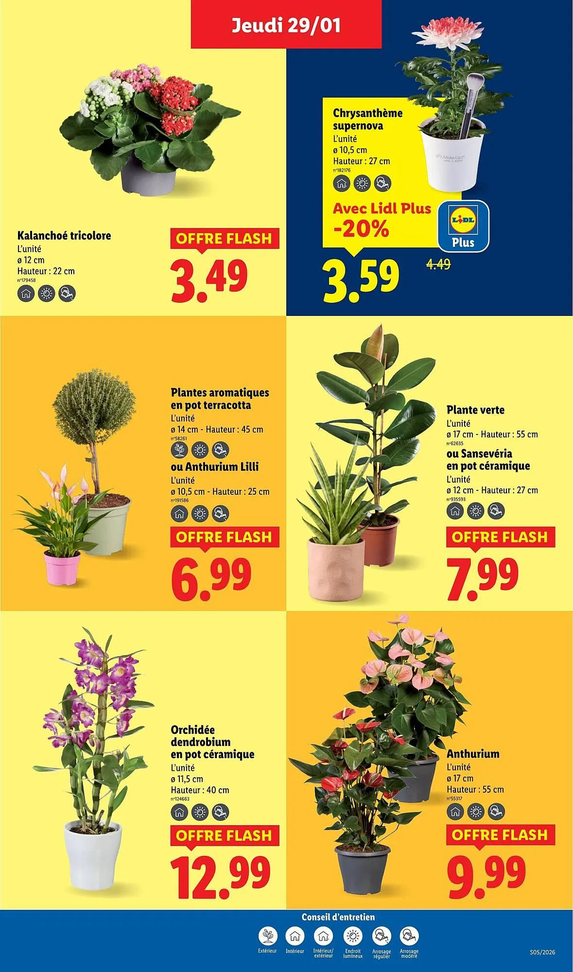 Catalogue Lidl du 29 janvier au 4 février 2026 - Catalogue page 29