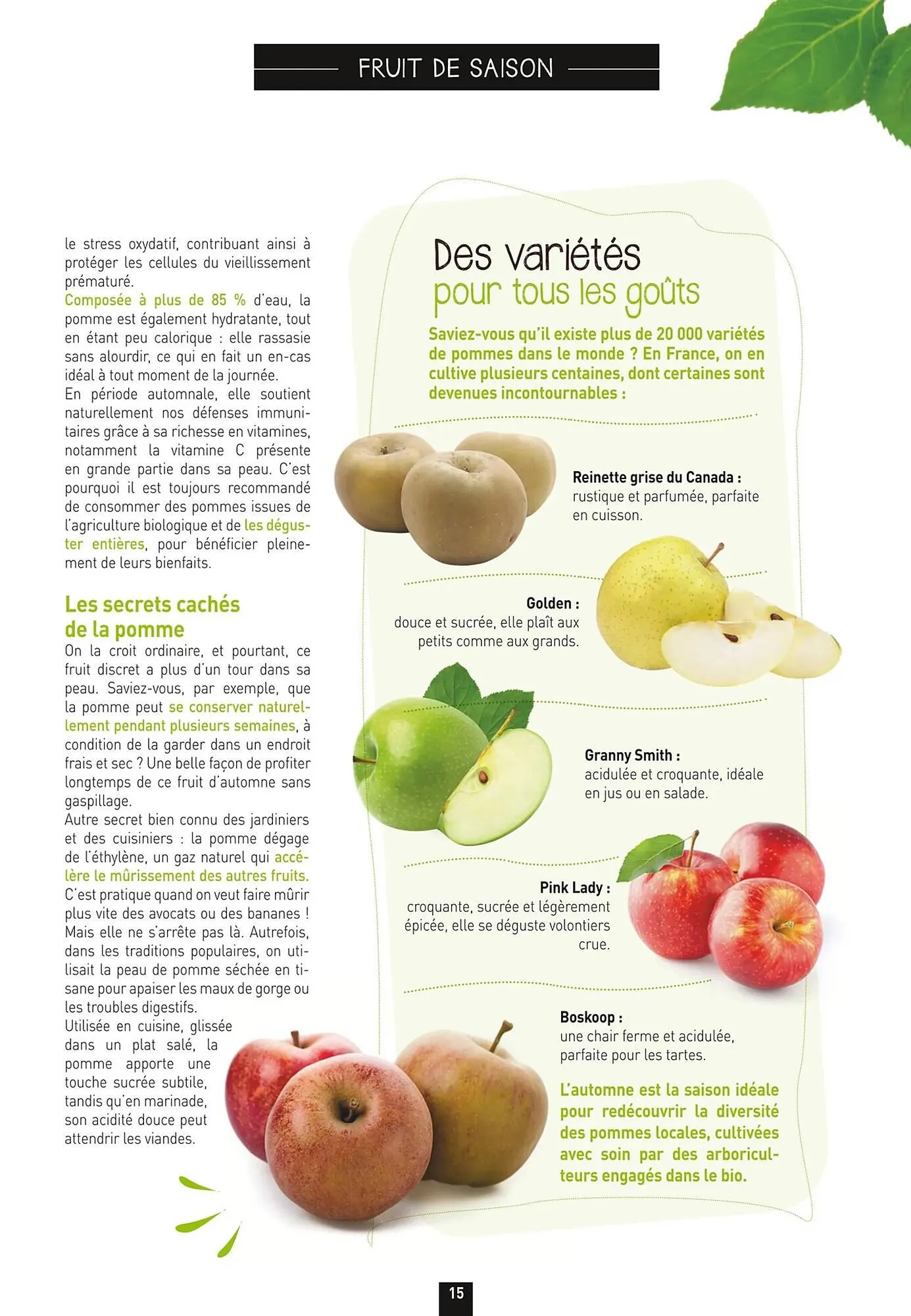 Catalogue naturéO du 18 septembre au 21 décembre 2025 - Catalogue page 15