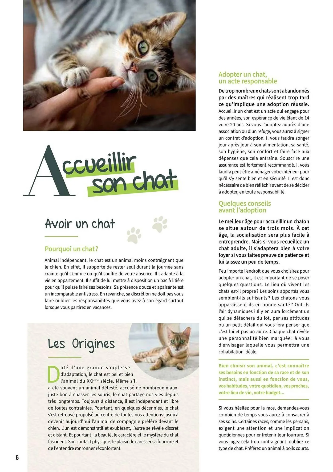 Catalogue Point Vert du 30 avril au 31 décembre 2025 - Catalogue page 6