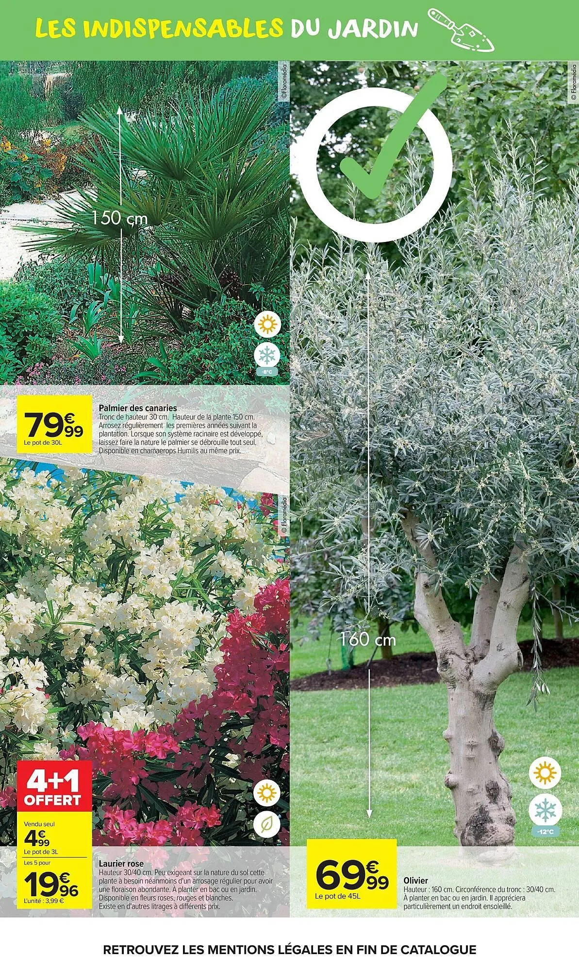 Catalogue Carrefour Market du 21 avril au 10 mai 2026 - Catalogue page 5