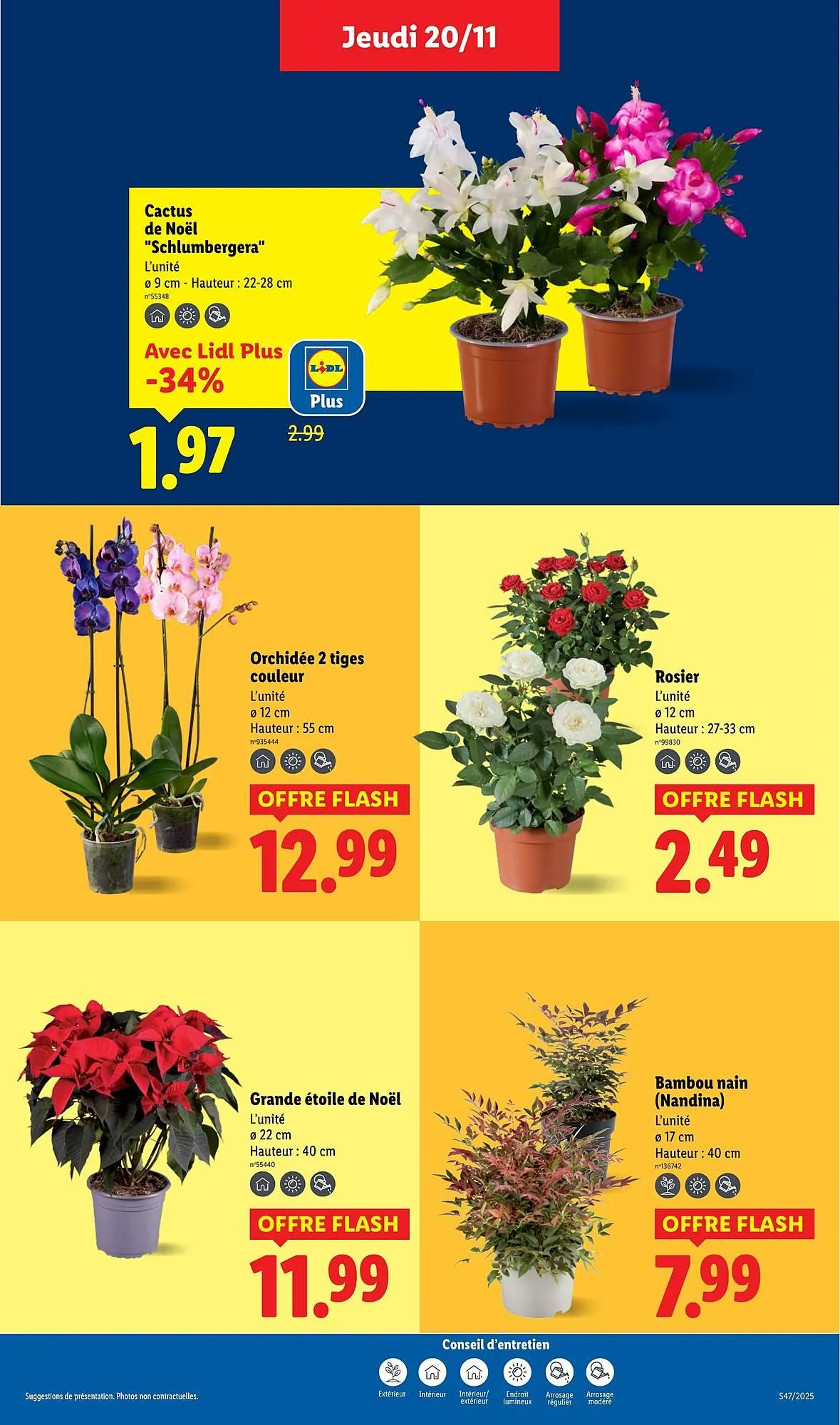 Catalogue Lidl du 20 novembre au 26 novembre 2025 - Catalogue page 37