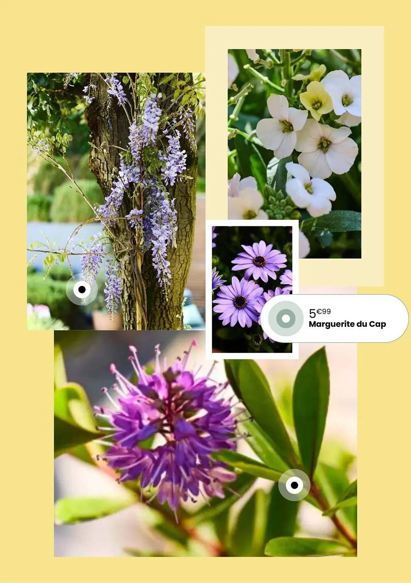 Catalogue Truffaut du 7 avril au 31 mai 2026 - Catalogue page 10