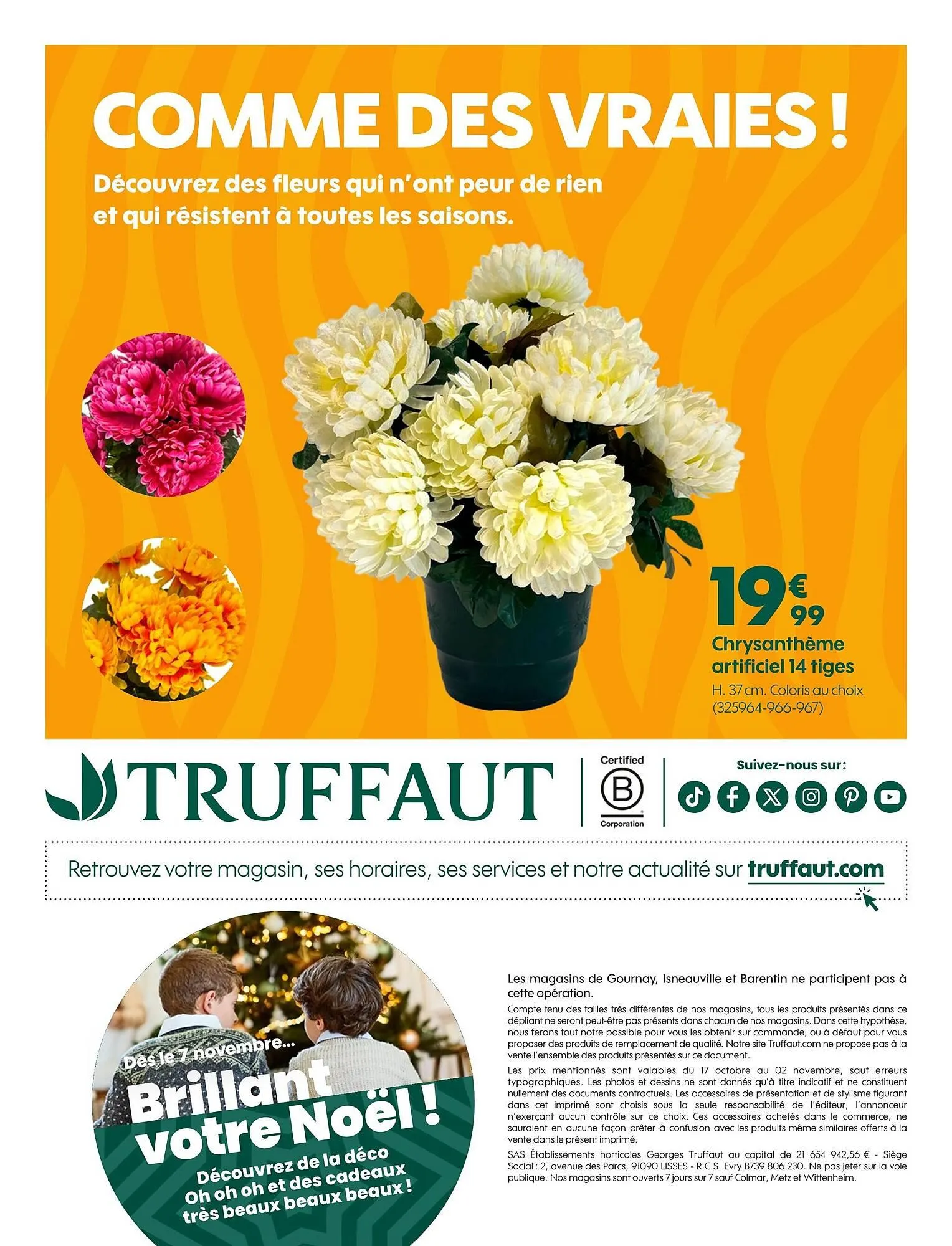 Catalogue Truffaut du 17 octobre au 2 novembre 2025 - Catalogue page 10