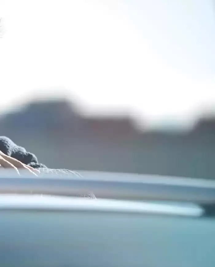 JAZZ e: Hev HYBRID du 7 janvier au 31 mai 2025 - Catalogue page 41