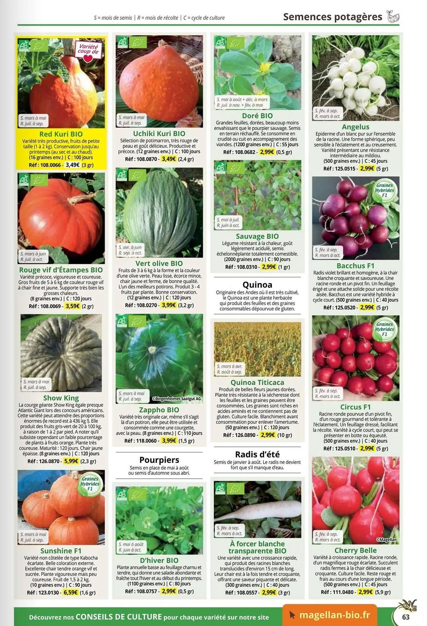 Catalogue Magellan du 1 janvier au 31 décembre 2026 - Catalogue page 63