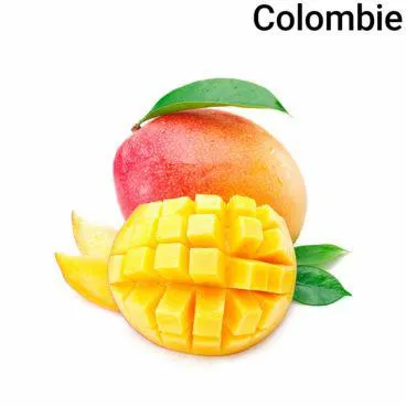 Mangue Pièce Bio