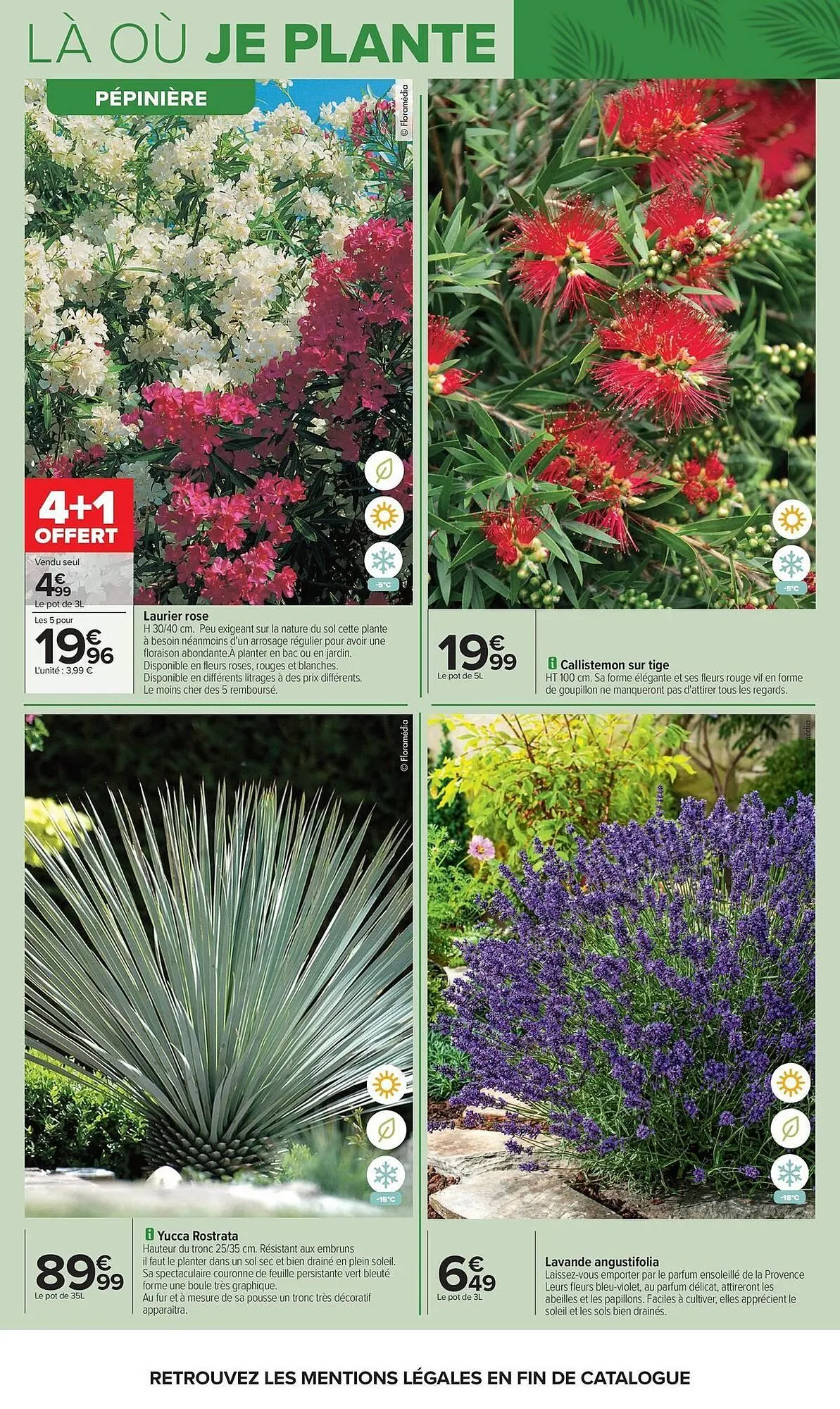 Catalogue Carrefour du 14 avril au 27 avril 2026 - Catalogue page 8