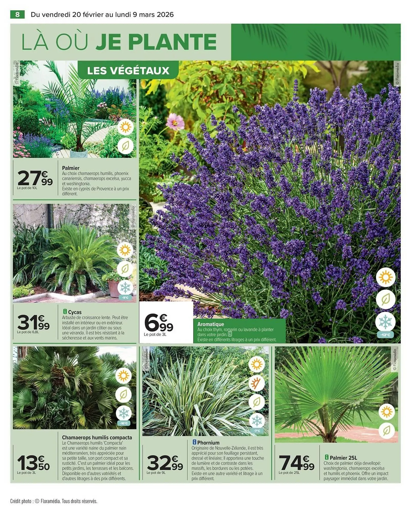 Catalogue Carrefour du 20 février au 9 mars 2026 - Catalogue page 10