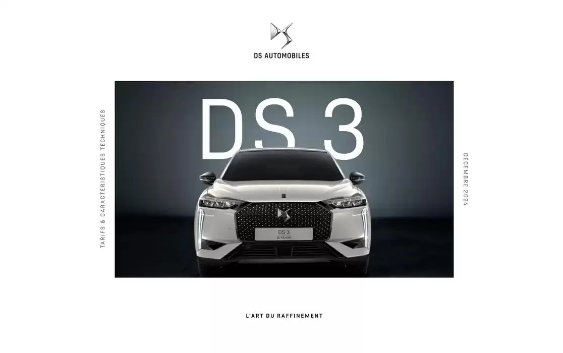 DS 3 - 1