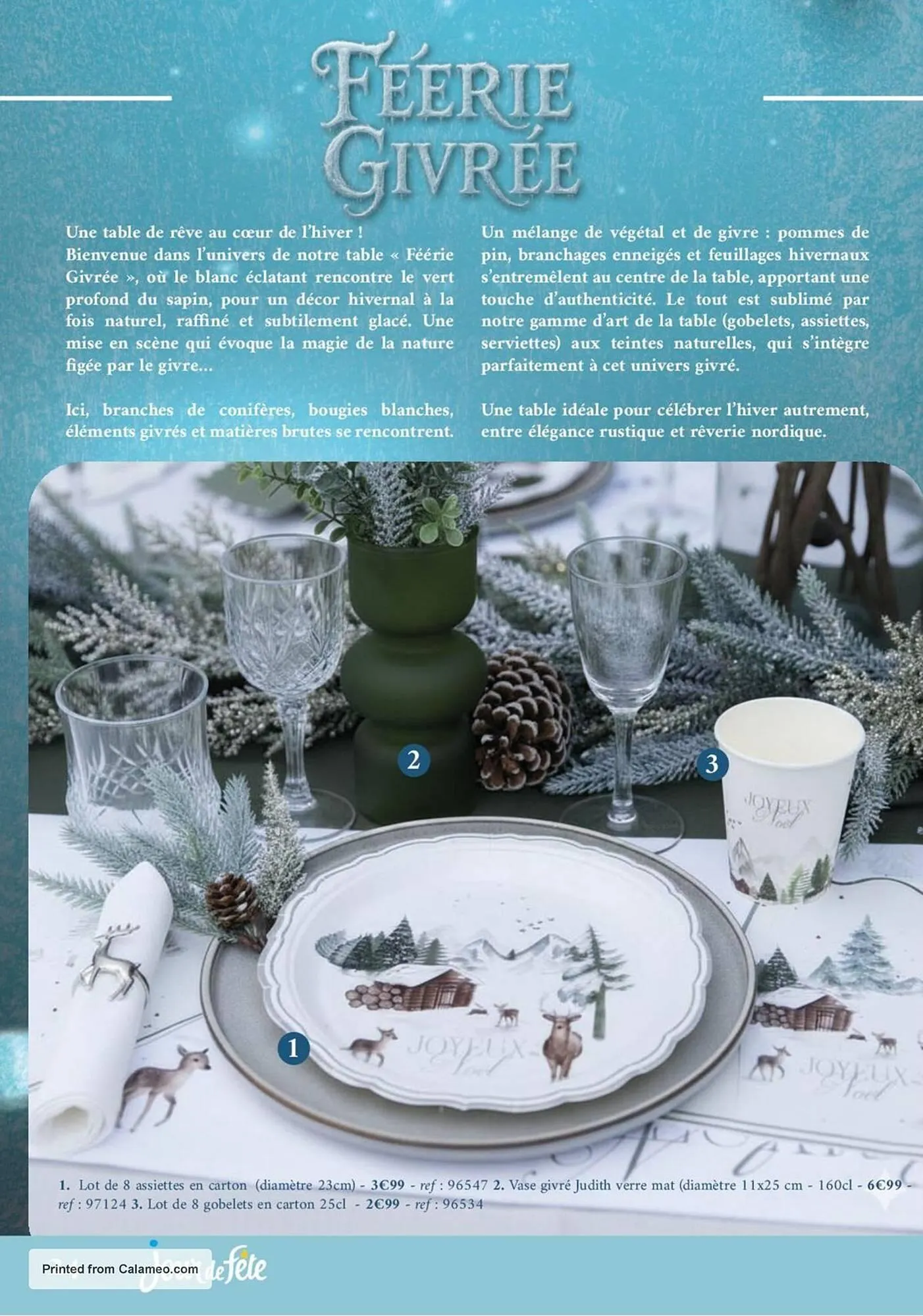 Catalogue Jour de Fête du 6 novembre au 1 janvier 2026 - Catalogue page 24