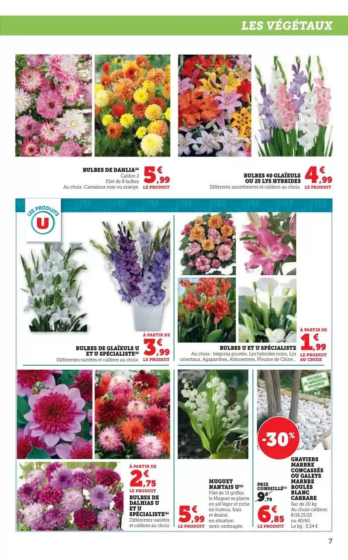 Spécial Jardin du 18 février au 16 mars 2025 - Catalogue page 7