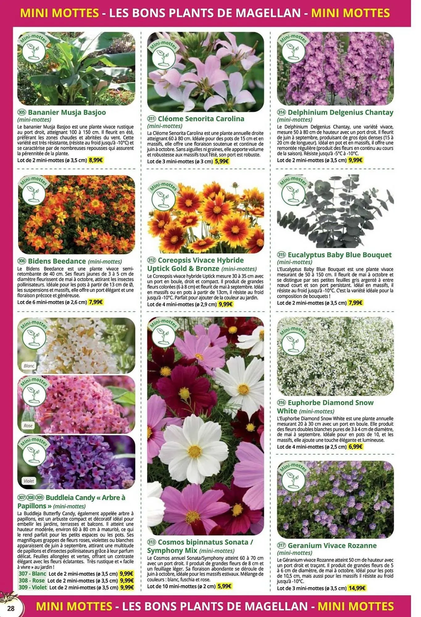 Catalogue Magellan du 16 décembre au 31 décembre 2025 - Catalogue page 28