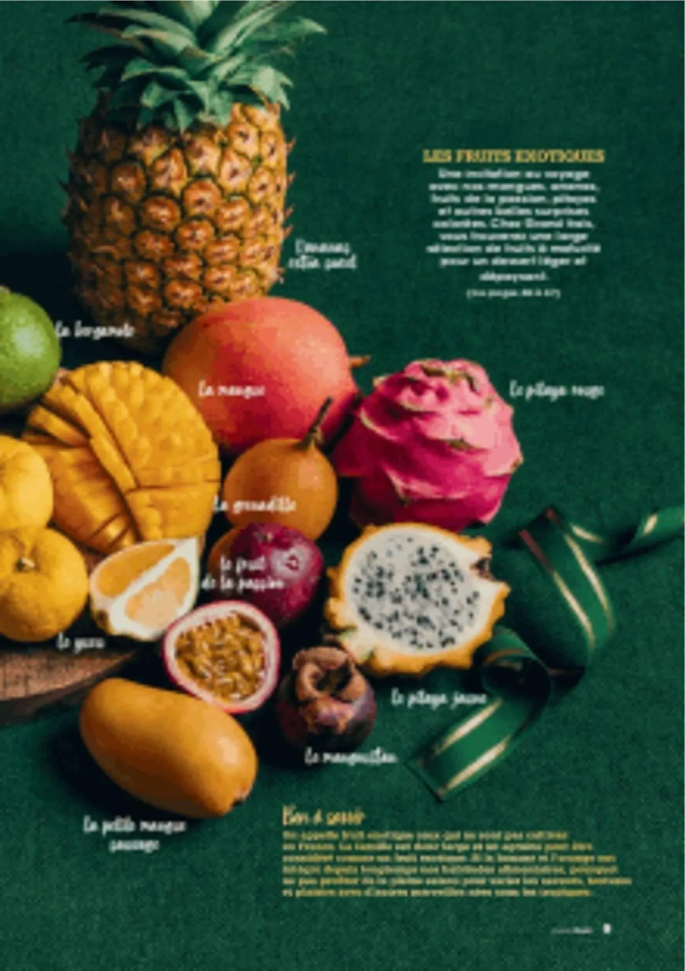 Catalogue Grand Frais du 12 décembre au 20 mars 2026 - Catalogue page 9