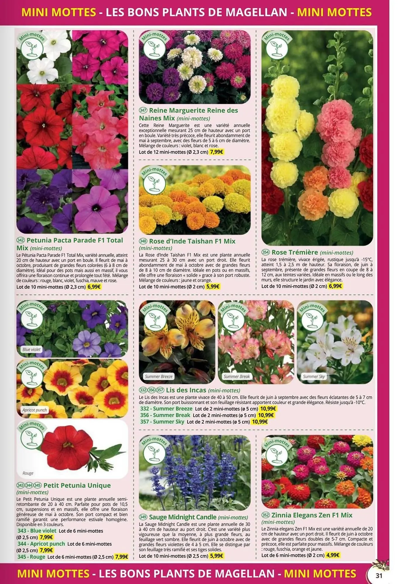 Catalogue Magellan du 1 janvier au 31 décembre 2026 - Catalogue page 31