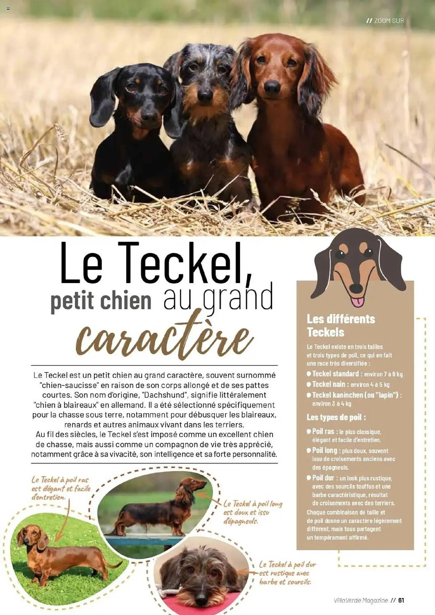 Catalogue VillaVerde du 19 septembre au 28 février 2026 - Catalogue page 61