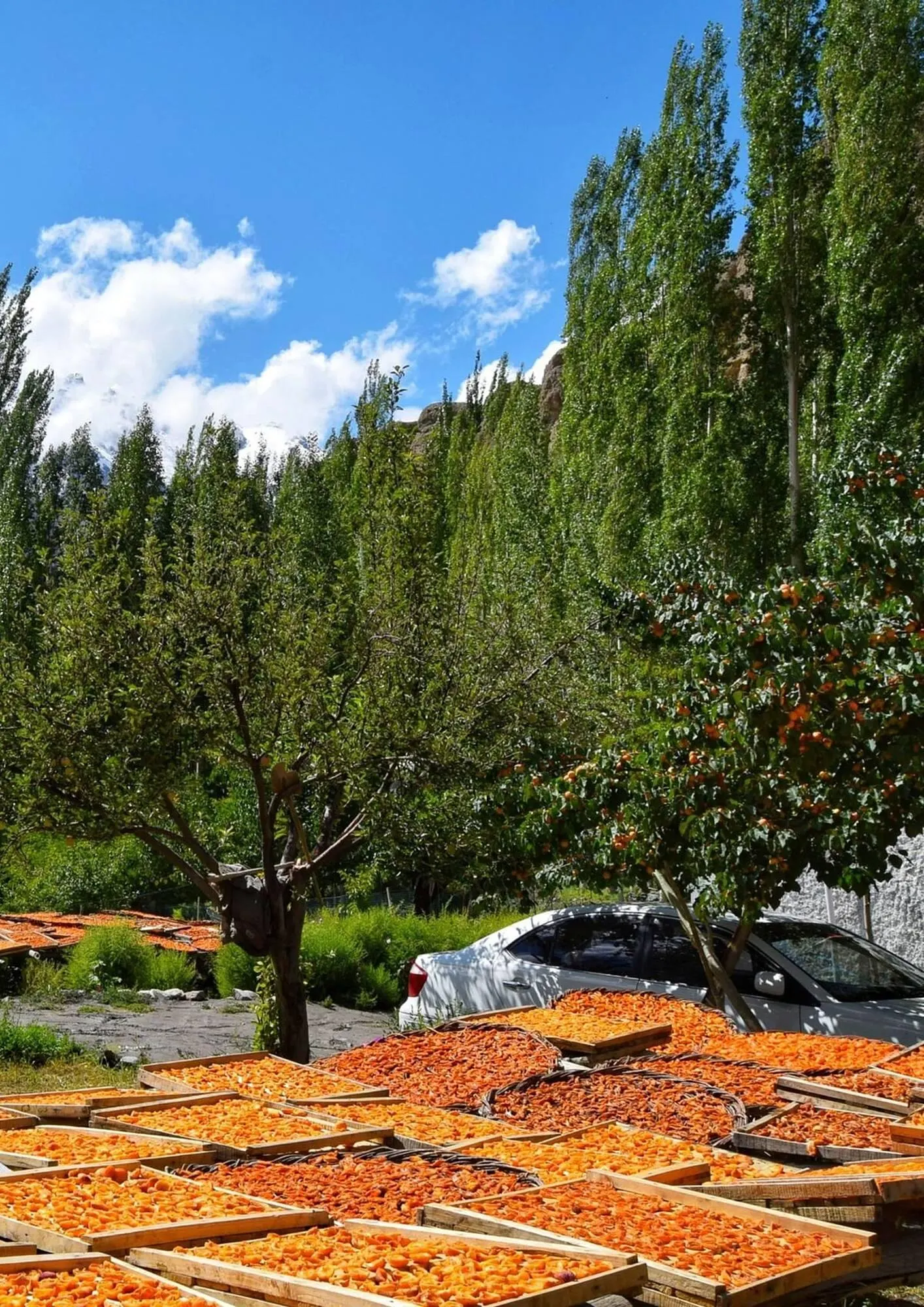 Catalogue Nutrimetics du 6 janvier au 31 décembre 2025 - Catalogue page 3