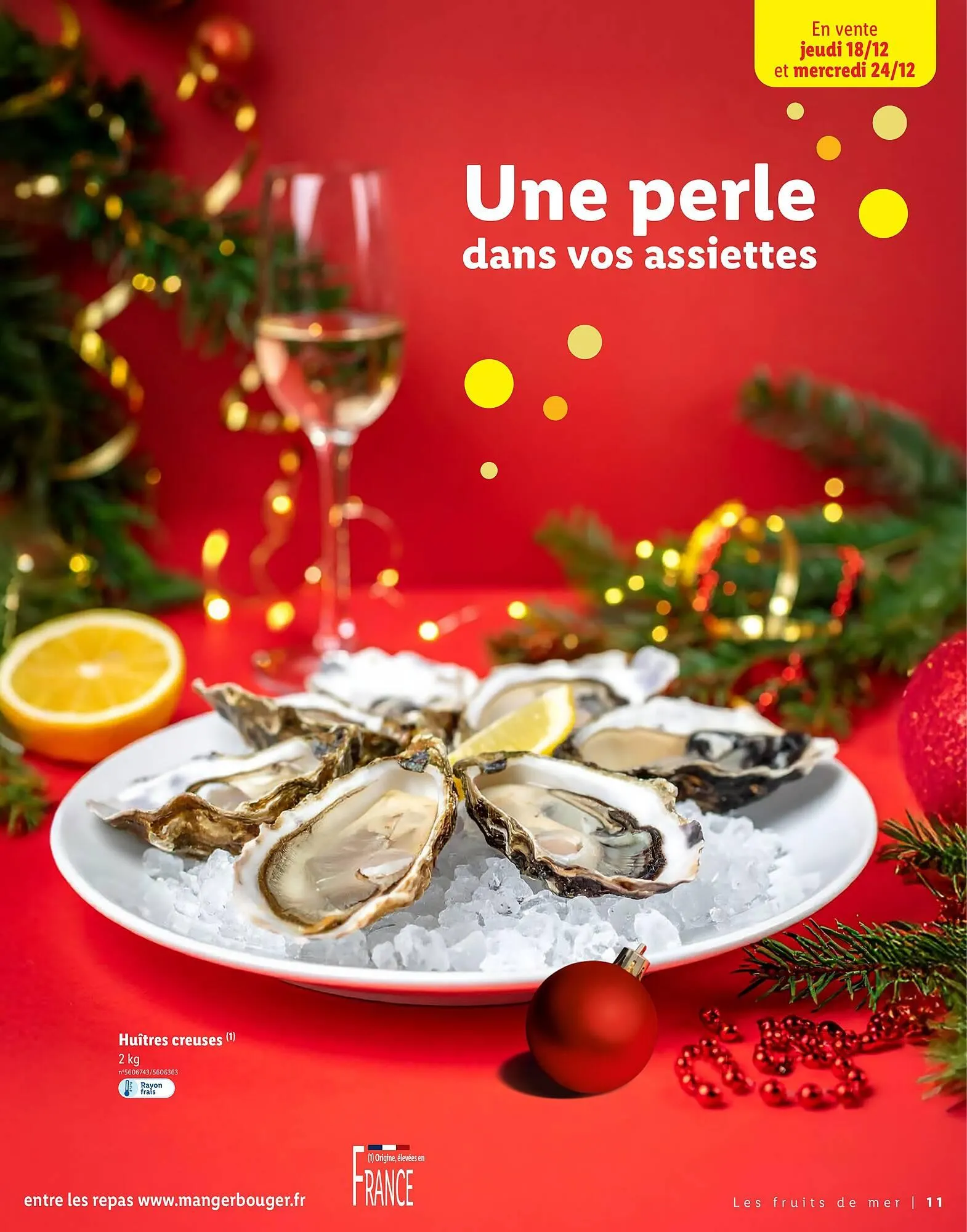 Catalogue Lidl du 13 novembre au 24 décembre 2025 - Catalogue page 11