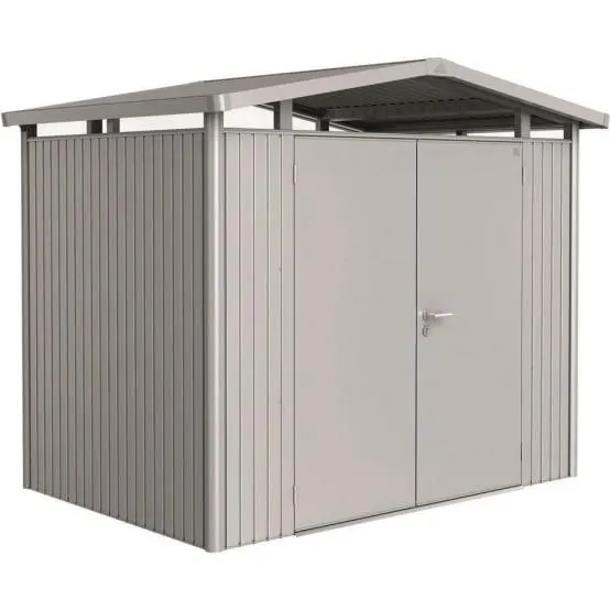 Abri de jardin métal 5,41 m² Panorama P2 Biohort argent