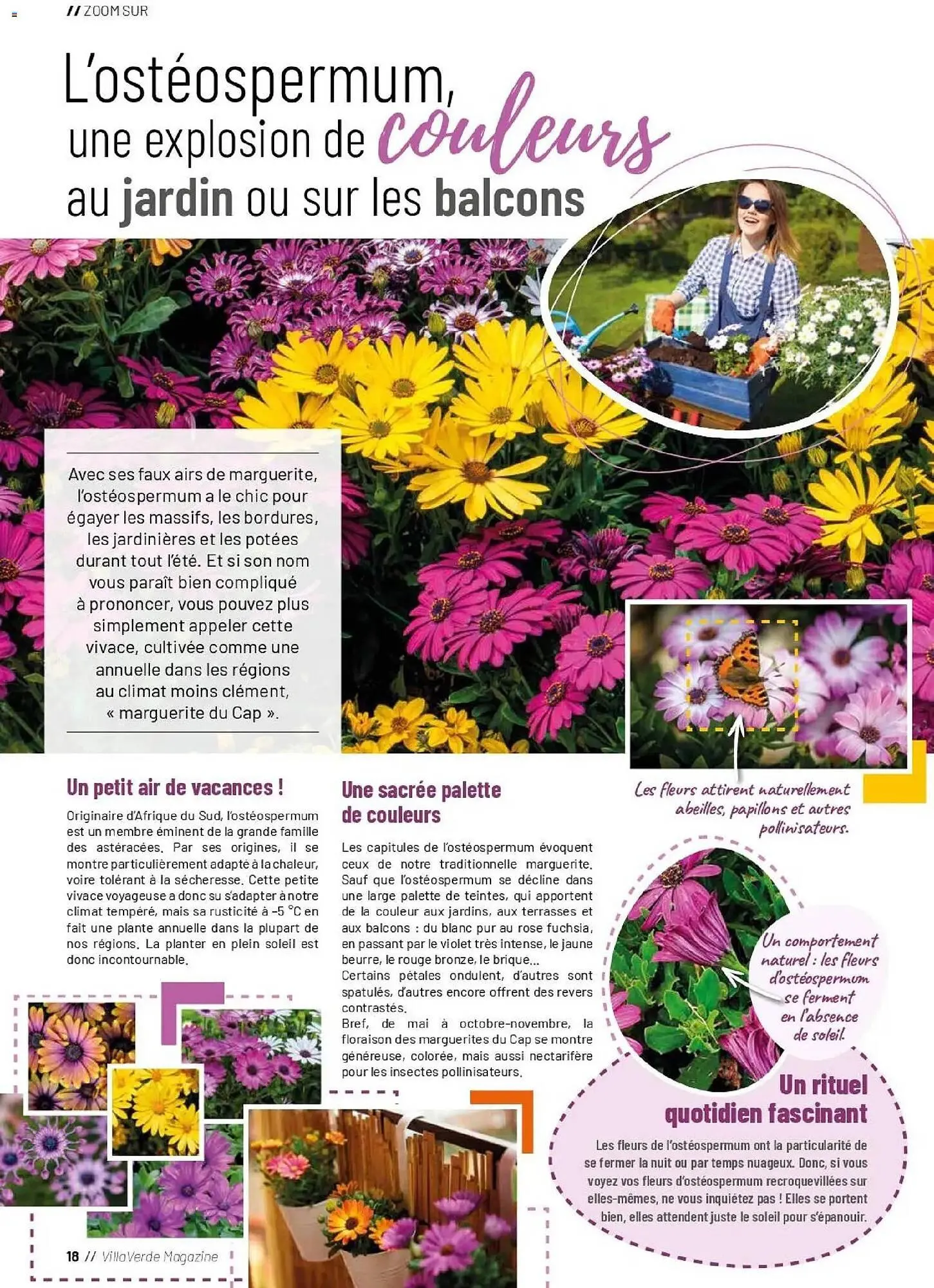Catalogue VillaVerde du 1 avril au 30 septembre 2026 - Catalogue page 18