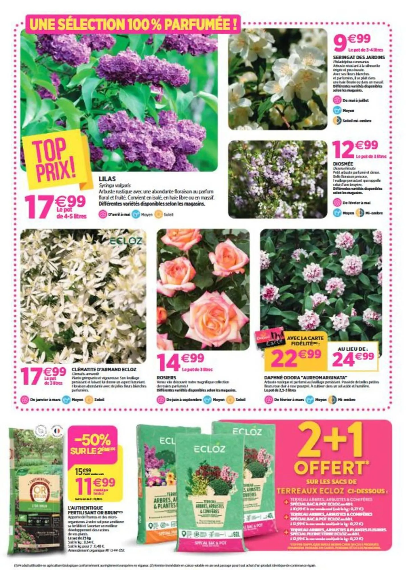 Catalogue Delbard du 26 février au 8 mars 2026 - Catalogue page 6