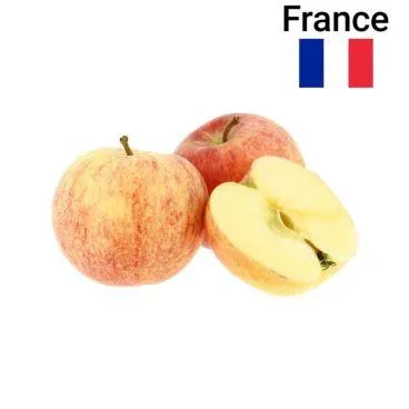 Pomme Gala 500g Bio
