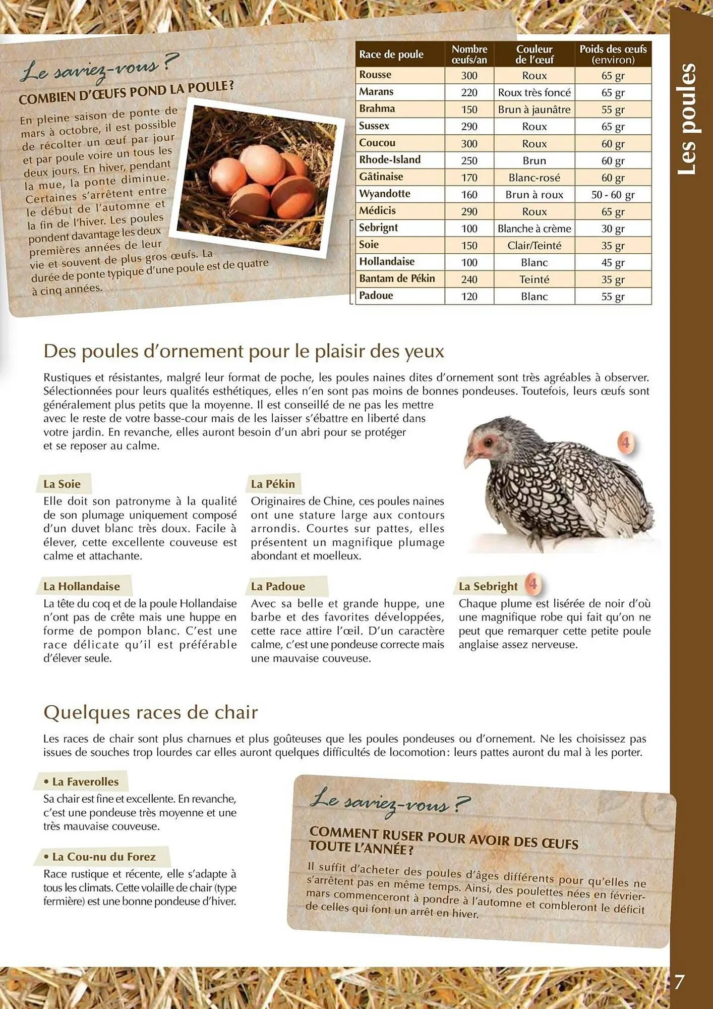 Catalogue Point Vert du 30 avril au 31 décembre 2025 - Catalogue page 7