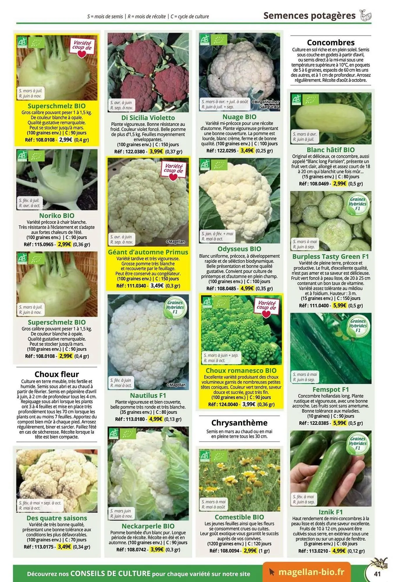 Catalogue Magellan du 16 décembre au 31 décembre 2025 - Catalogue page 41