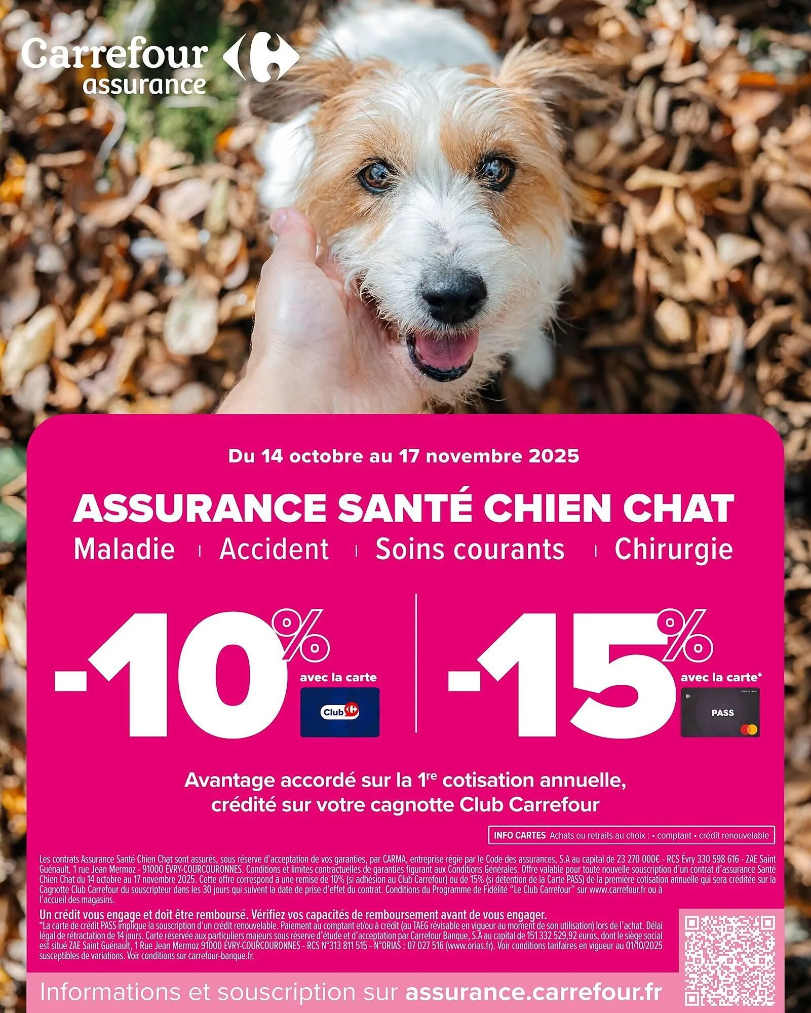 Catalogue Carrefour Market du 4 novembre au 16 novembre 2025 - Catalogue page 15