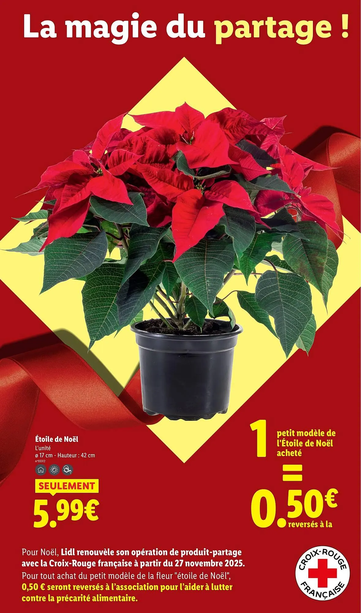 Catalogue Lidl du 11 décembre au 17 décembre 2025 - Catalogue page 43