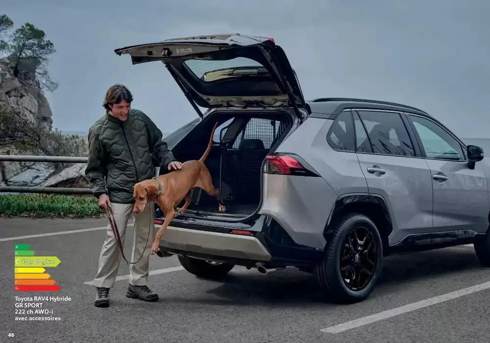 Toyota RAV4  du 27 janvier au 25 janvier 2026 - Catalogue page 46