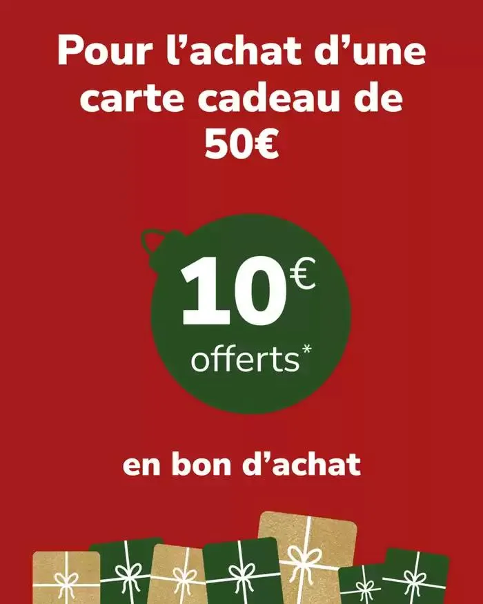 OFFRE SPÉCIALE sur nos cartes cadeaux du 20 décembre au 25 décembre 2024 - Catalogue page 2
