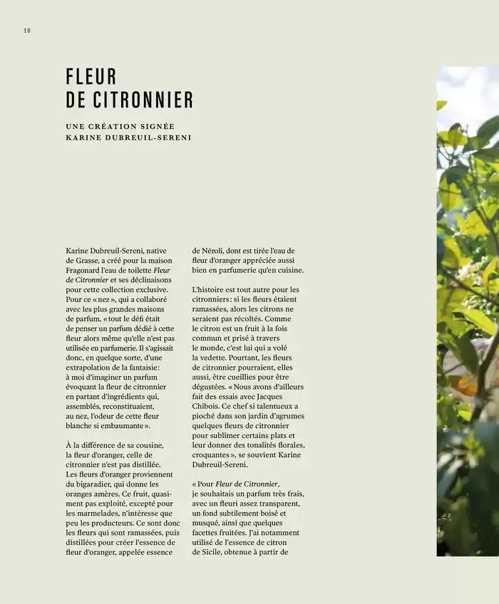 Printemps/Été 2025 du 17 mars au 23 septembre 2025 - Catalogue page 20