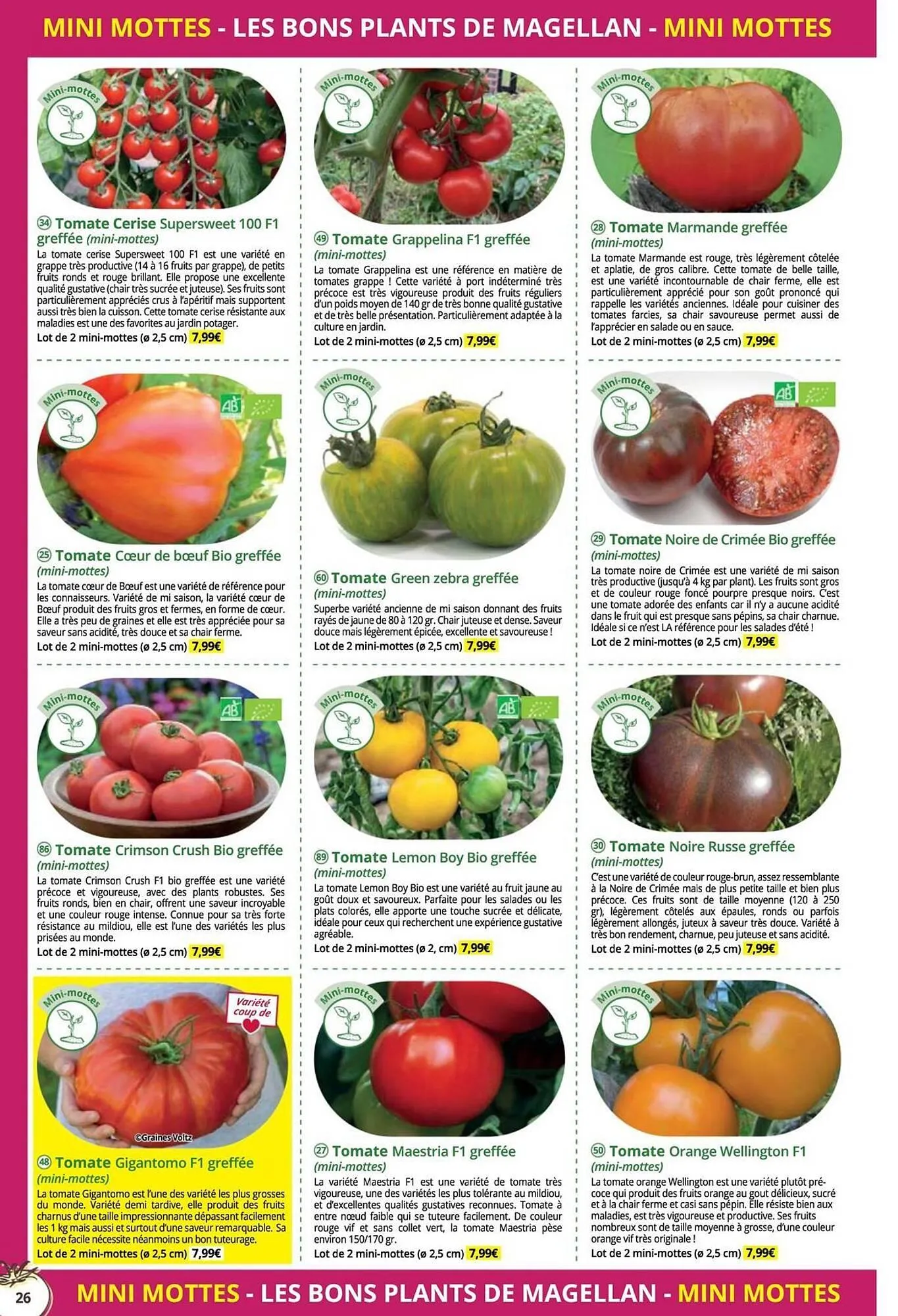 Catalogue Magellan du 16 décembre au 31 décembre 2025 - Catalogue page 26