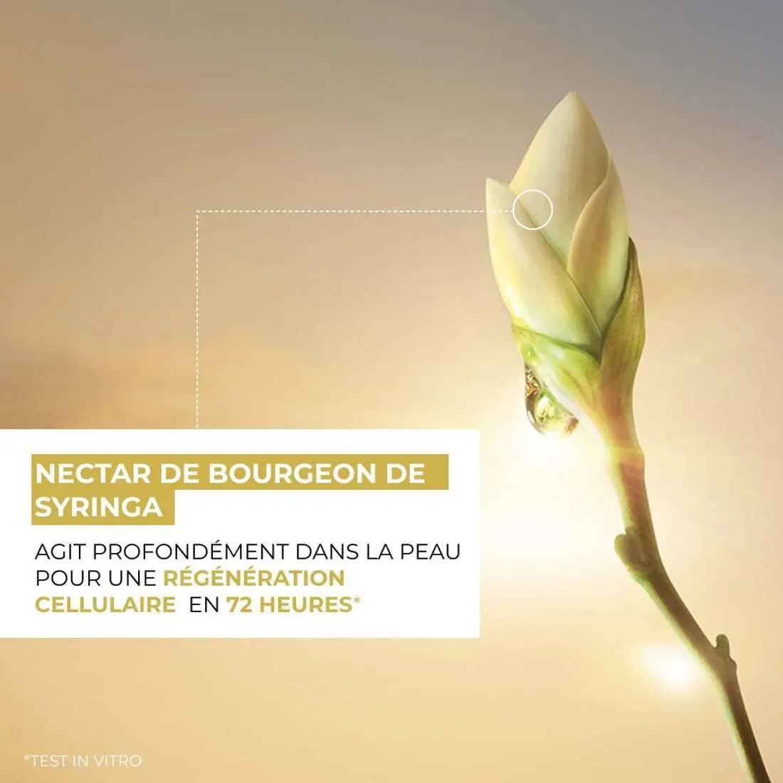 L'Ultime Grand Soin Régénérant