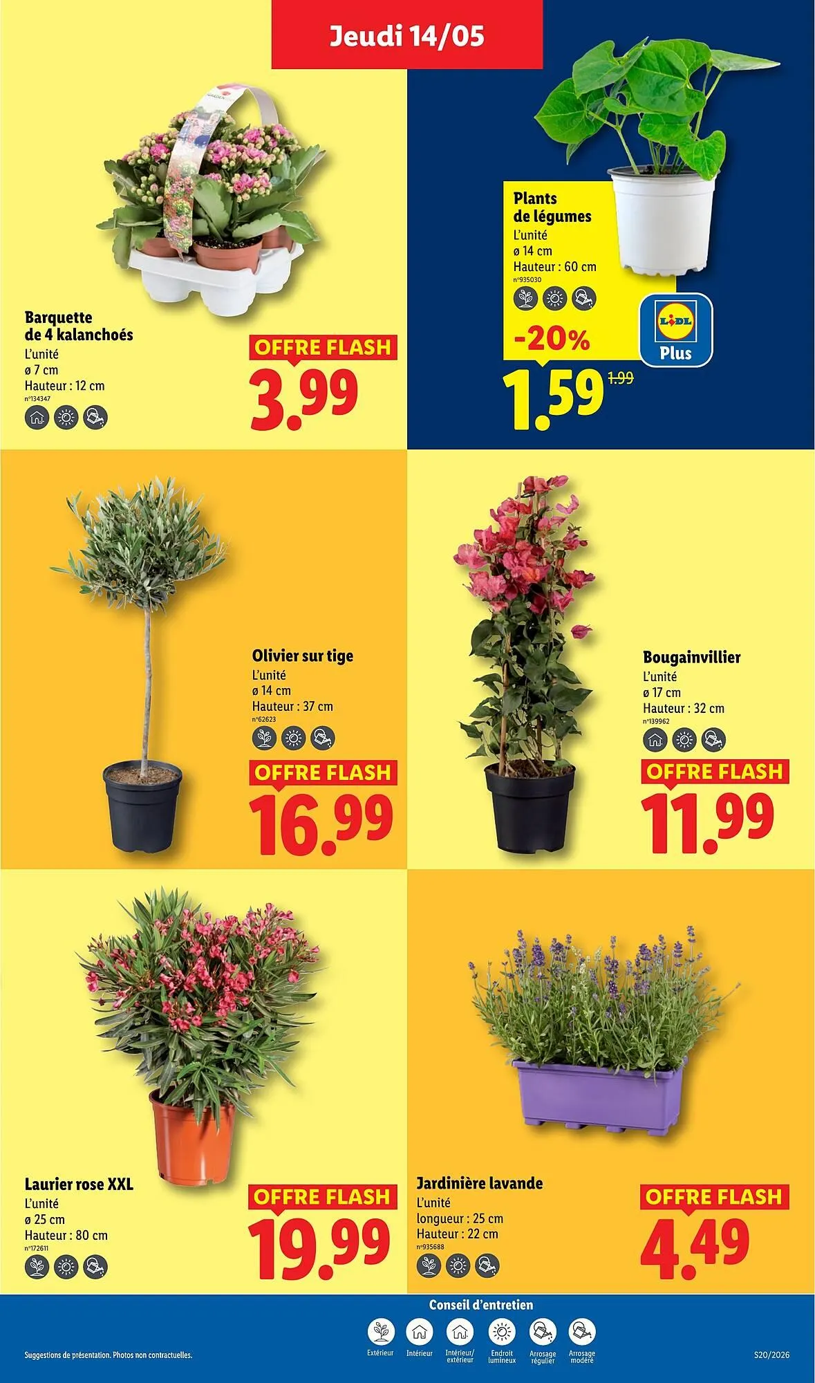 Catalogue Lidl du 14 mai au 20 mai 2026 - Catalogue page 25