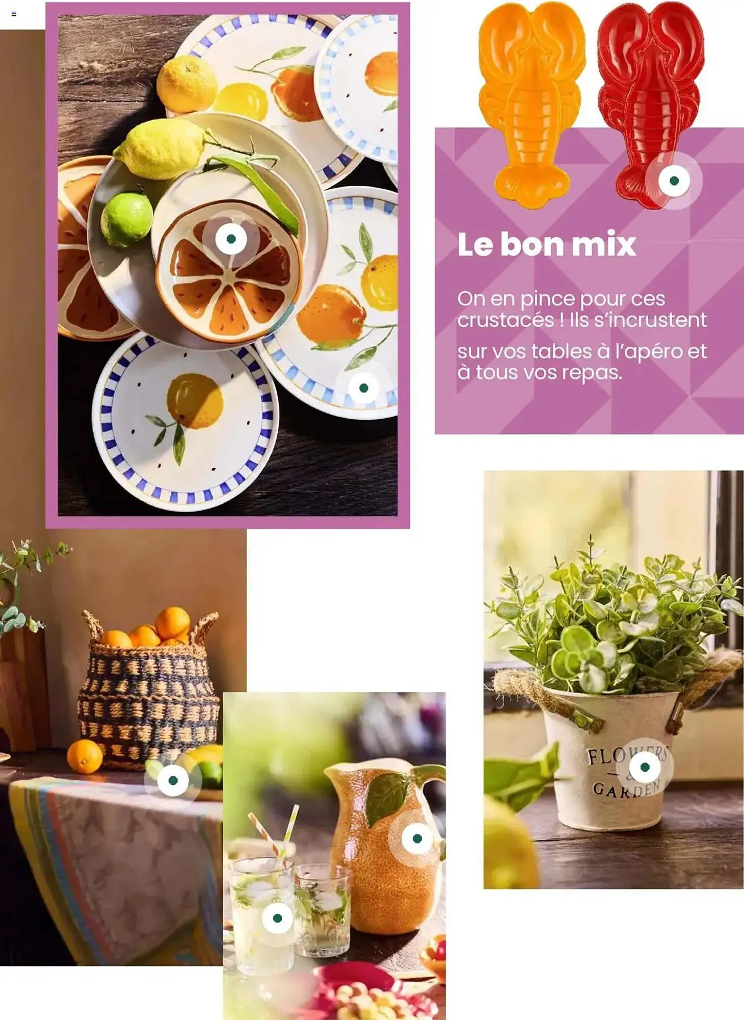 Catalogue Truffaut du 7 mai au 31 juillet 2025 - Catalogue page 19