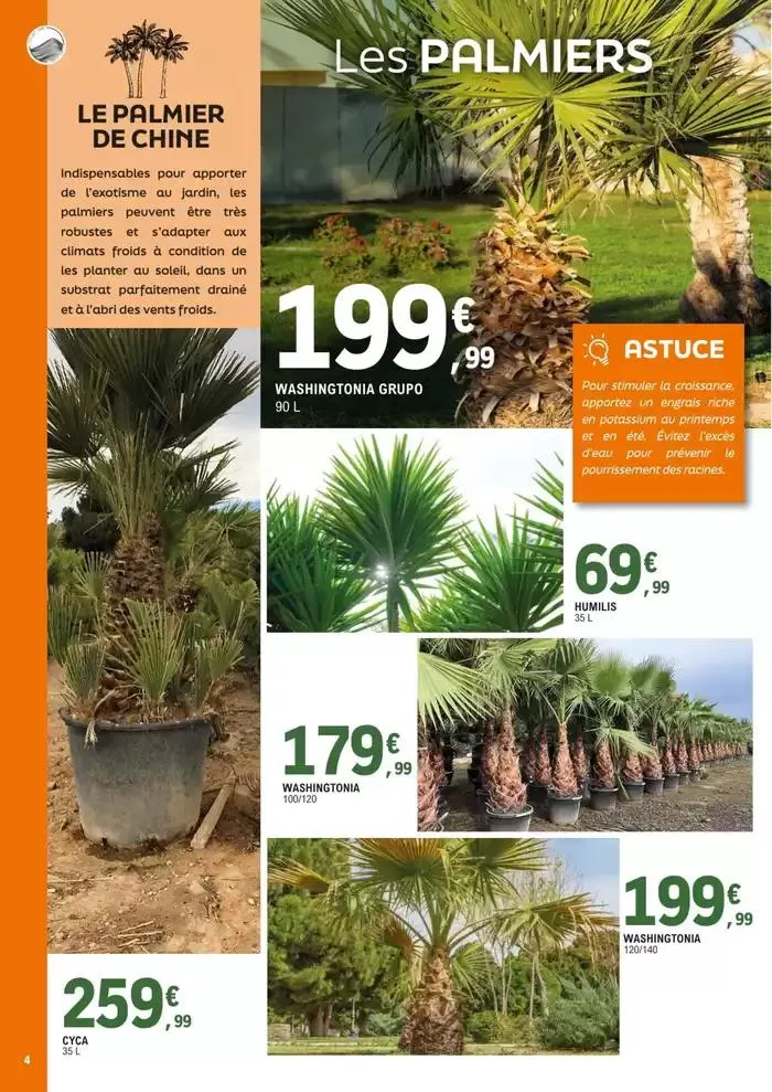 plantes méditerranéennes du 8 avril au 4 mai 2025 - Catalogue page 4
