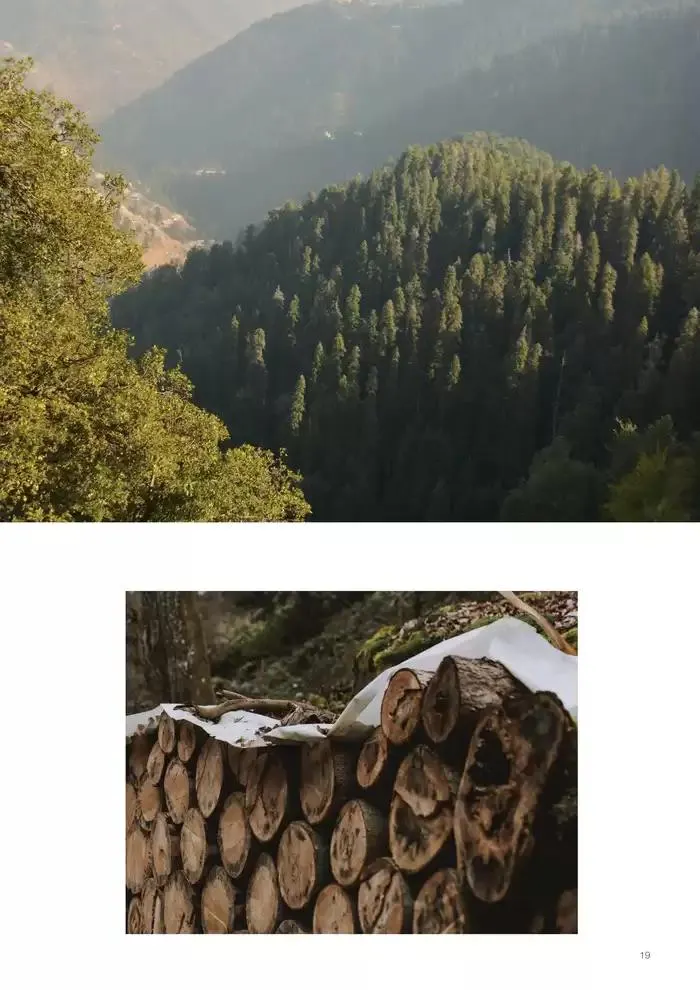 C O N T R A C T L O O K B O O K du 7 janvier au 31 décembre 2025 - Catalogue page 19