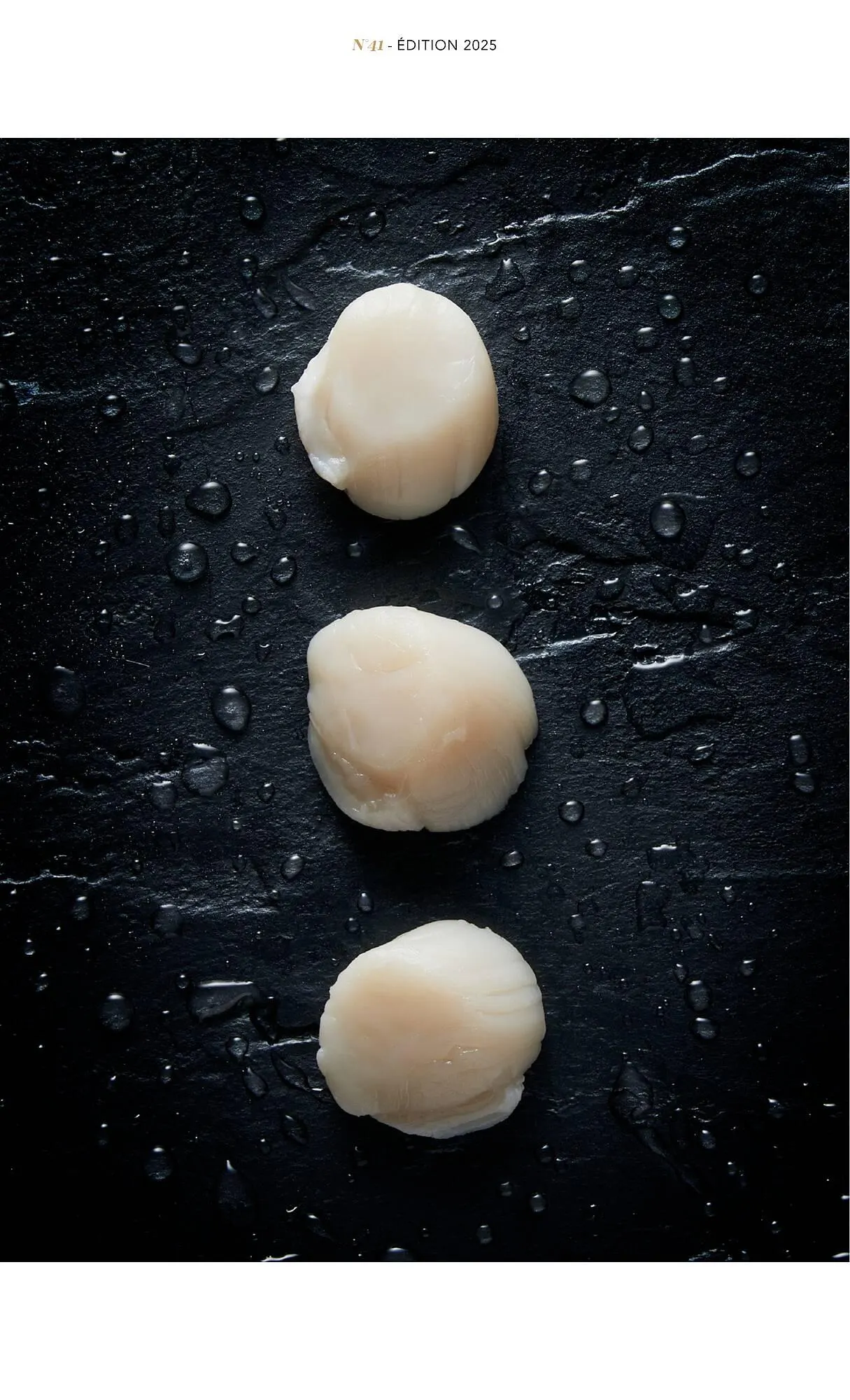 Catalogue METRO du 1 juillet au 31 décembre 2025 - Catalogue page 21