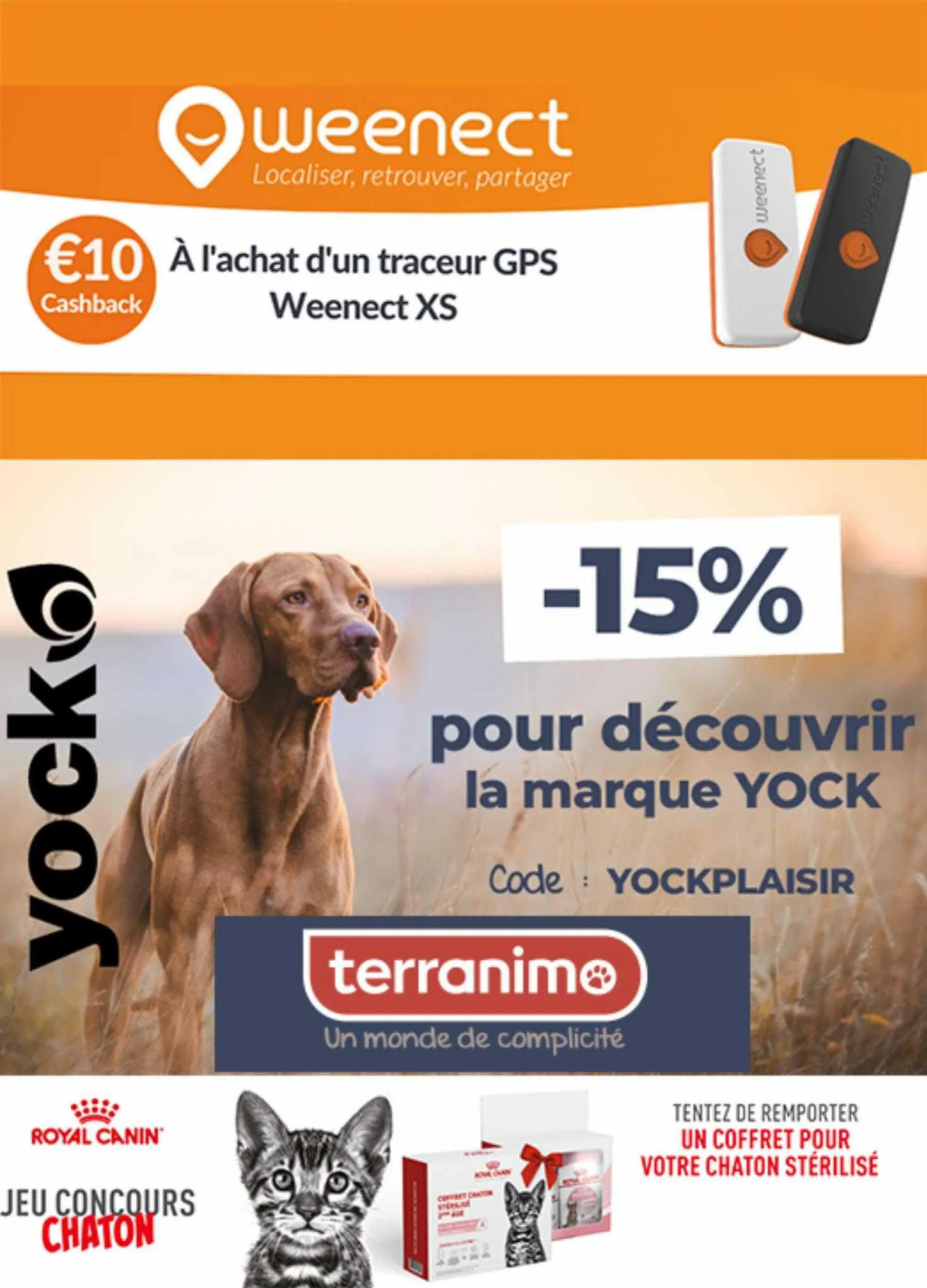 Catalogue Terranimo - 1