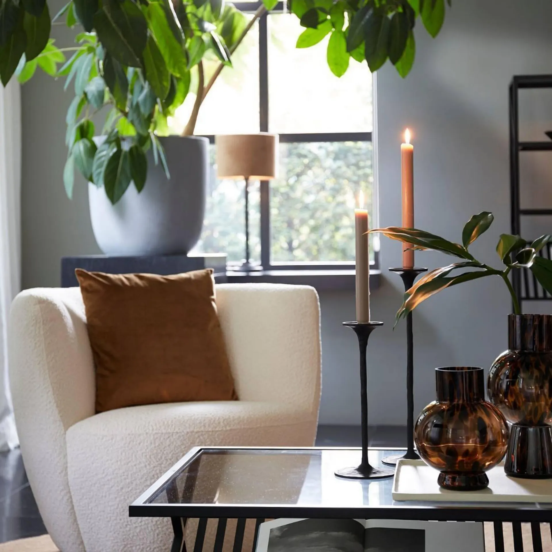 Catalogue Hémisphère Sud du 7 février au 17 février 2024 - Catalogue page 