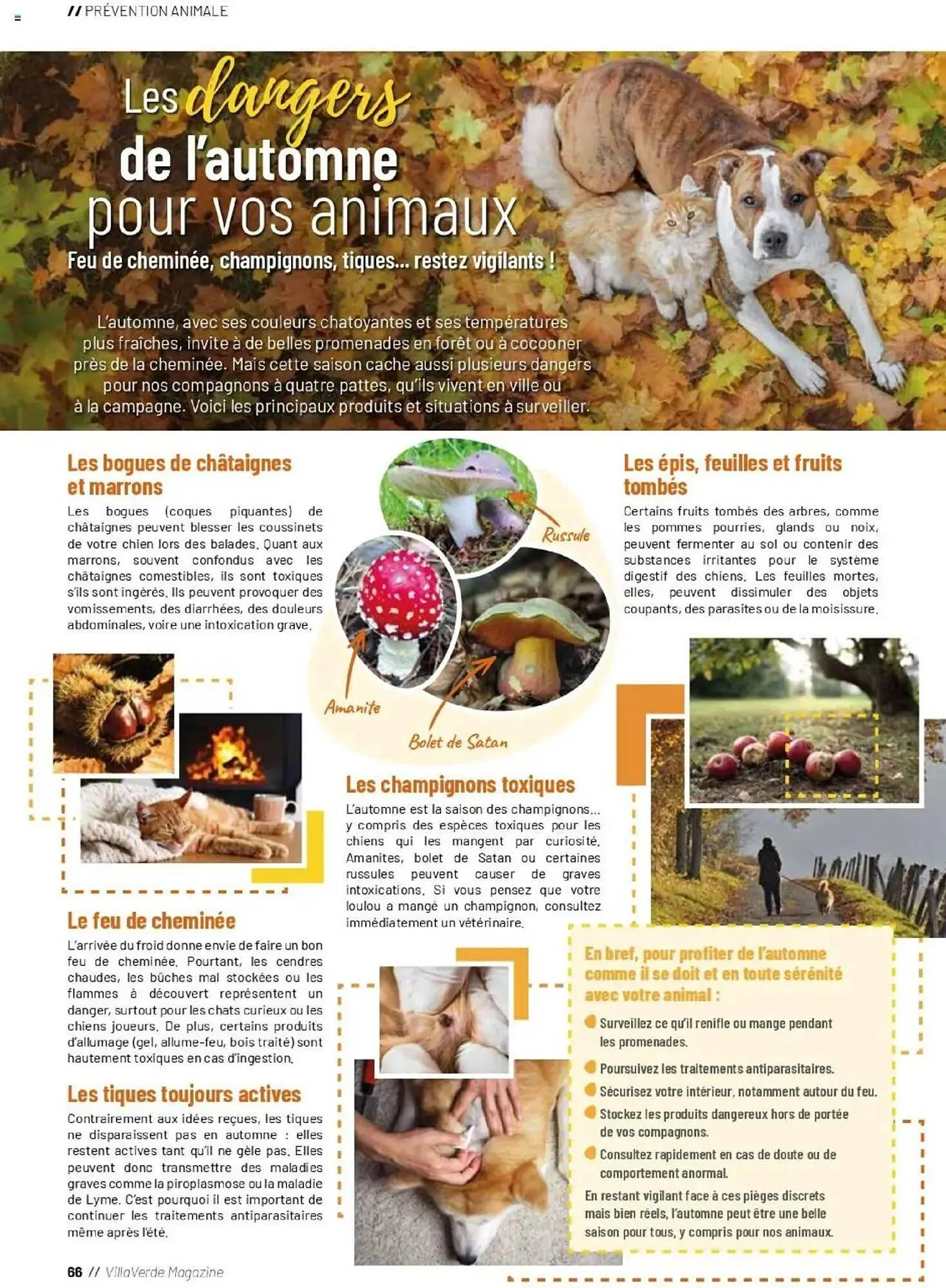 Catalogue VillaVerde du 19 septembre au 28 février 2026 - Catalogue page 66