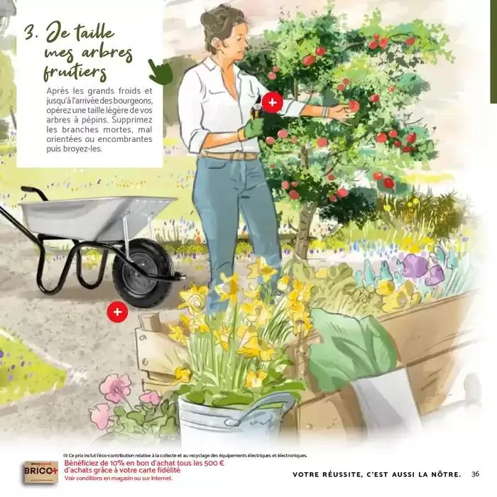 Imaginons votre jardin du 7 mars au 3 mai 2025 - Catalogue page 36