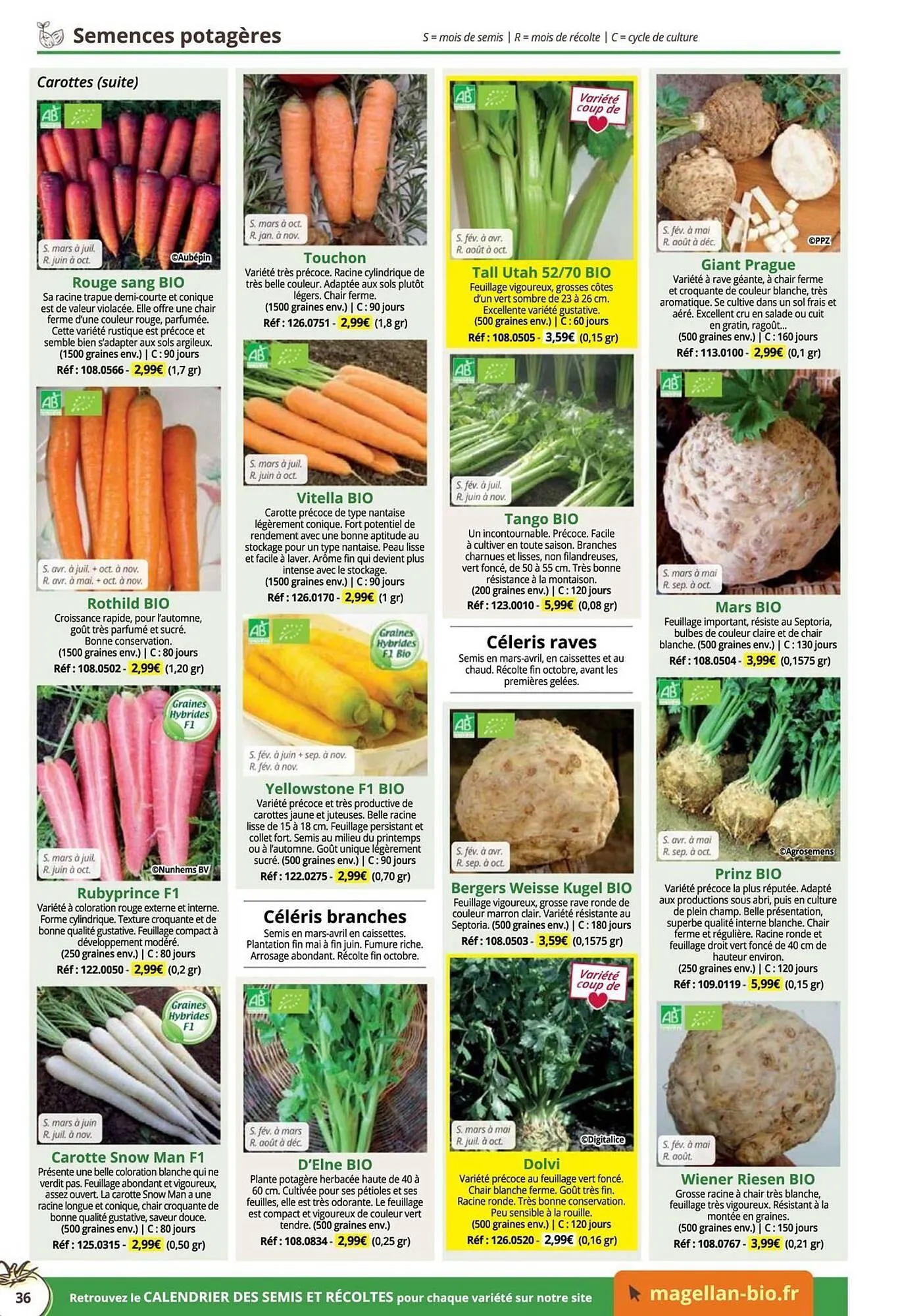 Catalogue Magellan du 16 décembre au 31 décembre 2025 - Catalogue page 36