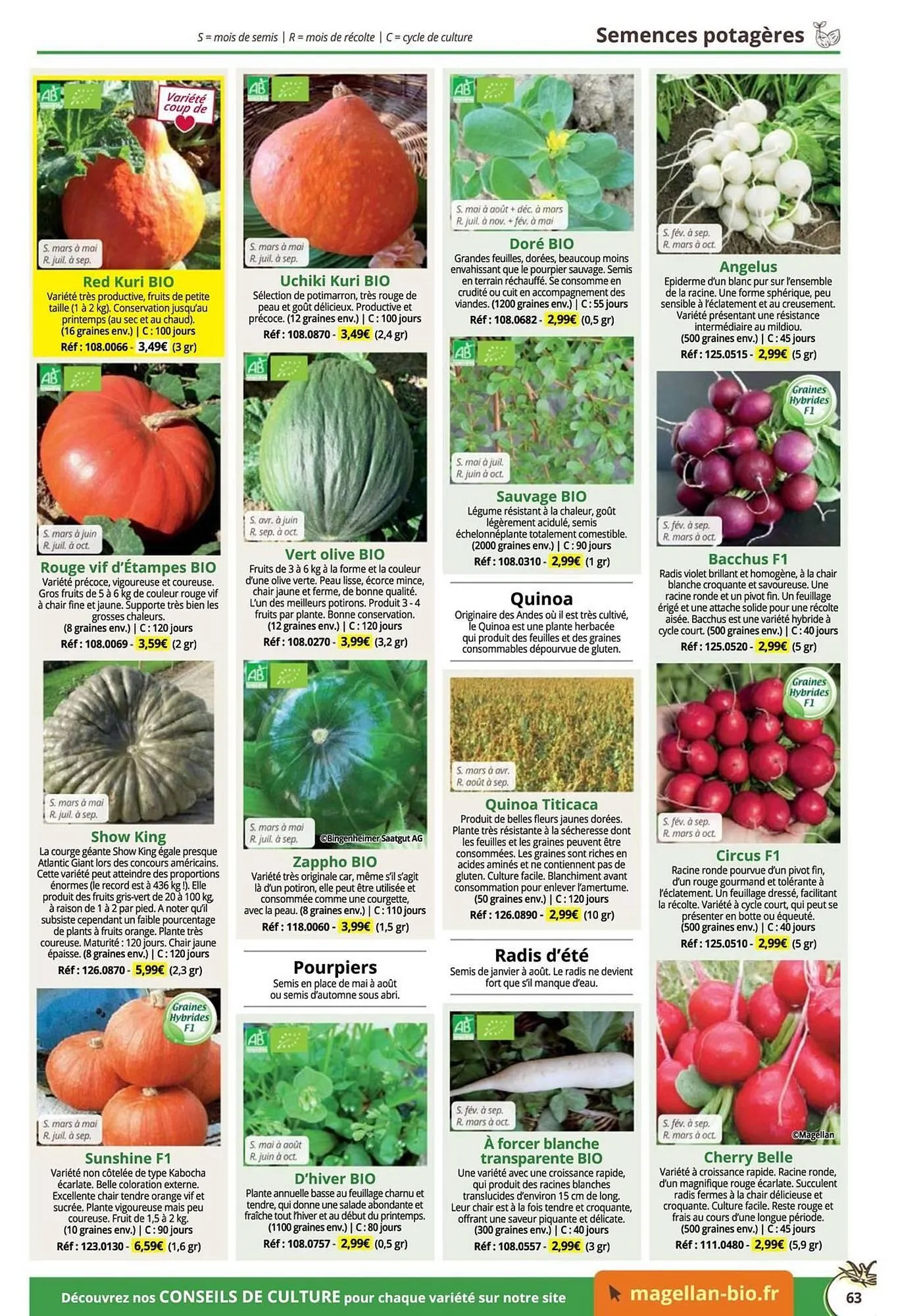 Catalogue Magellan du 16 décembre au 31 décembre 2025 - Catalogue page 63