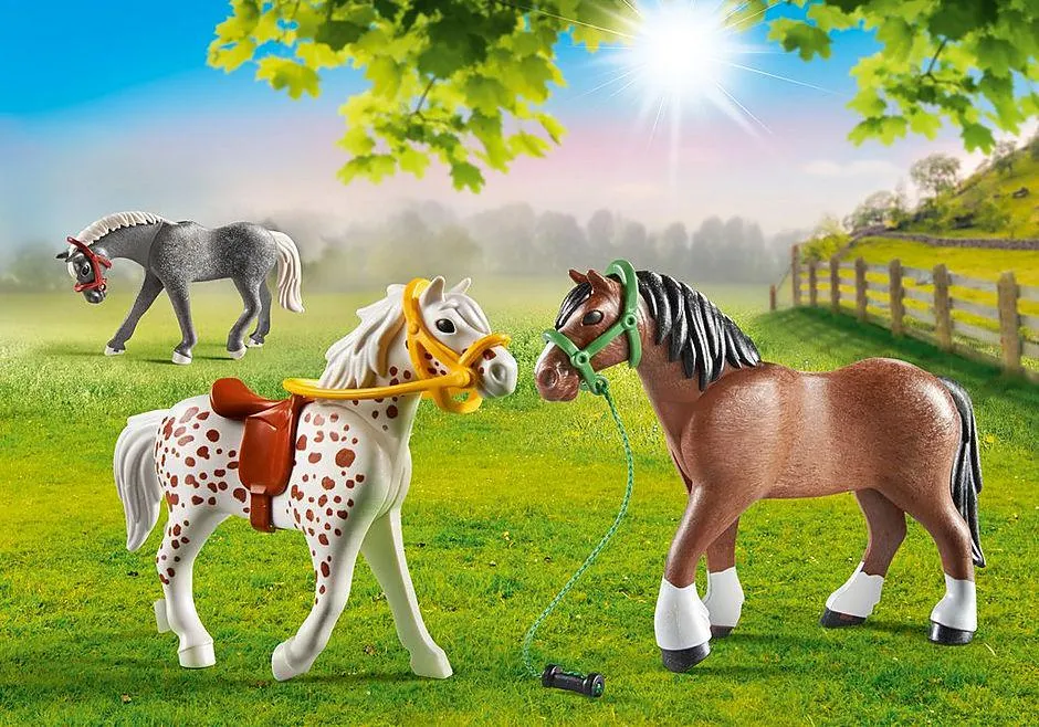 3 chevaux