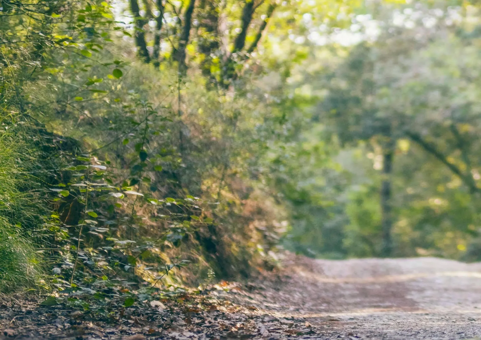 Catalogue Yamaha du 29 juillet au 3 janvier 2026 - Catalogue page 26