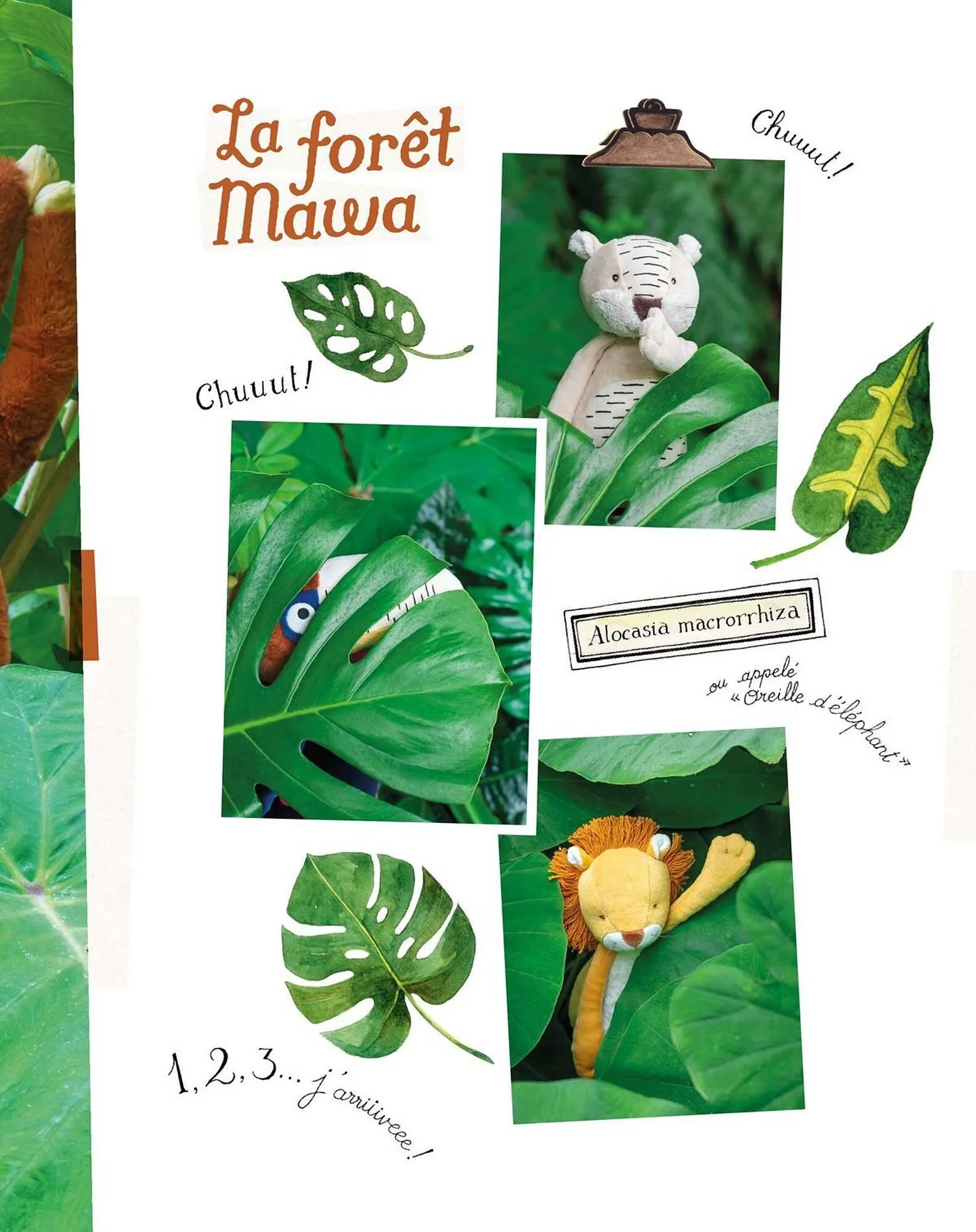 Catalogue Moulin Roty du 1 février au 28 février 2026 - Catalogue page 7